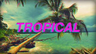 Tropical palm tree retro ocean - tropical free wallpaper
