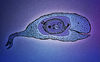 Fish eye drawing purple background - an illustration of free wallpaper