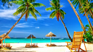Beach palm trees chairs blue - felipe seade free wallpaper