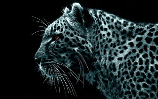 Leopard face black white red 2 - a red eye free wallpaper