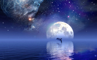 Dolphin jumping water full moon 2 - the water in front free wallpaper