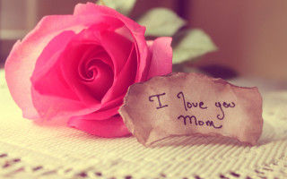 Pink rose paper writing image - a pink rose free wallpaper
