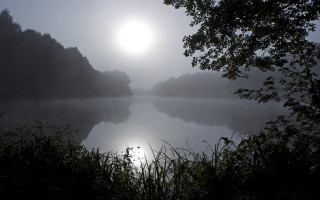 Foggy lake sun trees water - a foggy lake free wallpaper