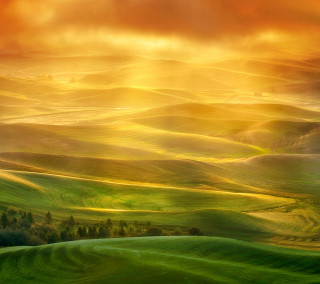 Green field trees clouds sunset 4 - free landscape wallpaper