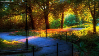 Park path trees fence sunset - tree and a fence free wallpaper