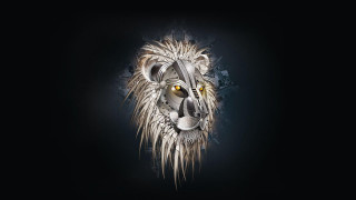 Lion head black background white 2 - alison kinnaird free wallpaper