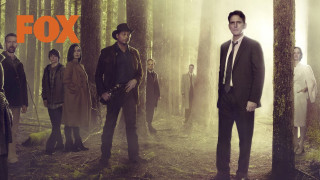 Group people forest fox man - eden box free wallpaper