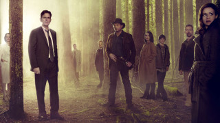 Group people forest trees fog - tree and fog in the background free wallpaper