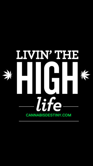 Livin the high life cannabisdestiny - high free wallpaper