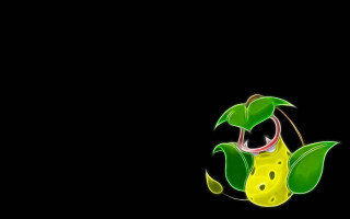 Green yellow flower leaves black - flower free wallpaper for desktop