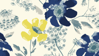 Blue yellow flower pattern white - annabel kidston free wallpaper