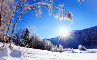 Sunny mountains snowy forest bright - a bright sun in the background free wallpaper
