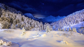 Snowy mountain trees night stars - night time free wallpaper