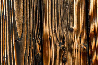 Wooden fence bird back end - abstract expressionism free wallpaper