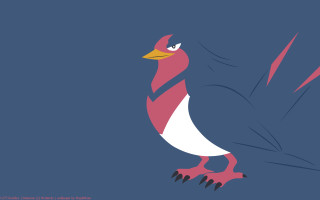 Bird red white beak pokemon - a yellow beak free wallpaper