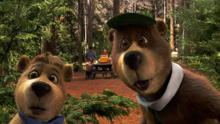 Bear cub woods picnic table - furry free wallpaper