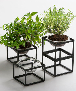 Small plants black planter white - environmental art free wallpaper