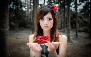 Woman holding rose forest trees - a rose free wallpaper