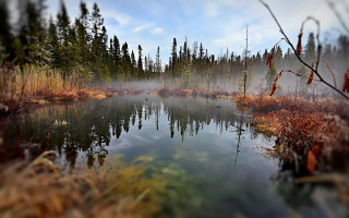Pond fog trees autumn impressionism - soft free wallpaper
