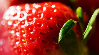 Strawberry water droplets macro leaf - delaunay free wallpaper