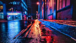 Wet street neon cyberpunk elsa - elsa bleda free wallpaper