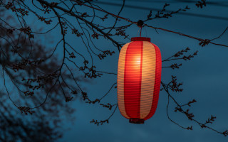 Red lantern night tree leaves - eishōsai chōki free wallpaper