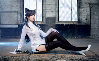 White outfit sitting sword cat - a white outfit free wallpaper