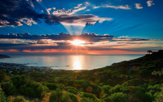 Sunset water trees bushes city - crepuscular ray free wallpaper