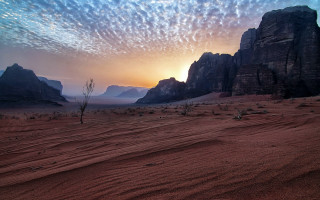 Desert lone tree mountain cloudy - amir zand free wallpaper