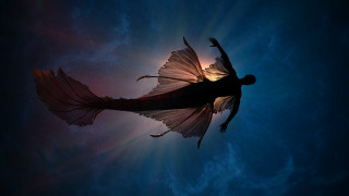 Woman flying fish tail starry - a hologram free wallpaper for desktop