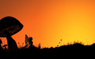 Mushroom butterfly silhouette dawn froud - matte fantasy painting free wallpaper