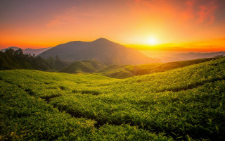 Sunset green hills mountains valley - lush free wallpaper for desktop