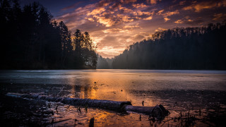 Large log lake cloudy sunset - lake free wallpaper