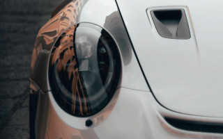Car side mirror tiger print - side window free wallpaper