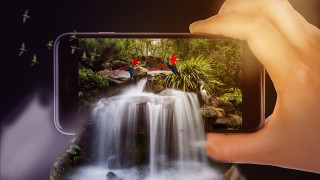 Person holding phone waterfall birds - bird free wallpaper