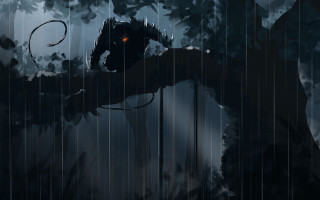 Monster glowing eyes rain forest - eye free wallpaper