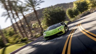 Green sports car palm trees - the car free wallpaper
