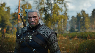 Armor sword forest old man - symbolism free wallpaper