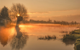 Lake tree sunset house cityscape - a house in the distance free wallpaper