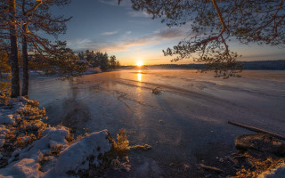 Sunset frozen lake trees snow - a sunset over a free wallpaper