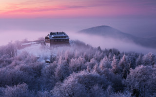 House hill trees fog sunset - a hill free wallpaper