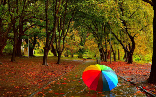 Colorful umbrella autumn park leaves - art green free wallpaper