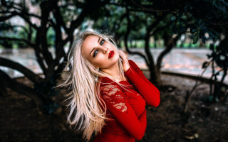 Red dress park christmas blurry - tree and bushes behind her free wallpaper