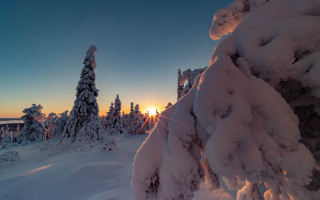Sunset snowy forest mountains blue - the snow free wallpaper
