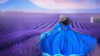 Lavender field woman blue dress - affinity photo free wallpaper