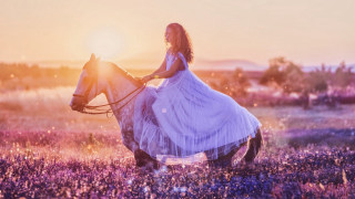 Woman horse flower field sunset - her free wallpaper