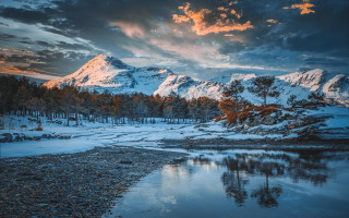 Snowy mountain range lake forest - adam bruce thomson free wallpaper