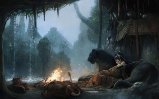 Firelight forest campfire snow starry - a log free wallpaper