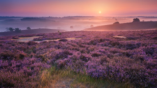 Sunset foggy hill path impressionist - impressionist free wallpaper