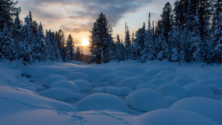 Snowy path trees sunset mountain - bob ross free wallpaper